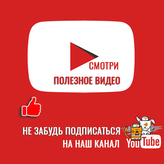 акция в ветклинике ПЕС и КОТ Харьков